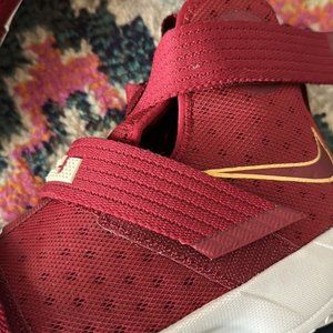 Nike LeBron James Zoom Soldier 10 Christ The King  Red Gold NYC Basketball shoe